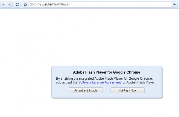 Download adobe flash player for google chrome